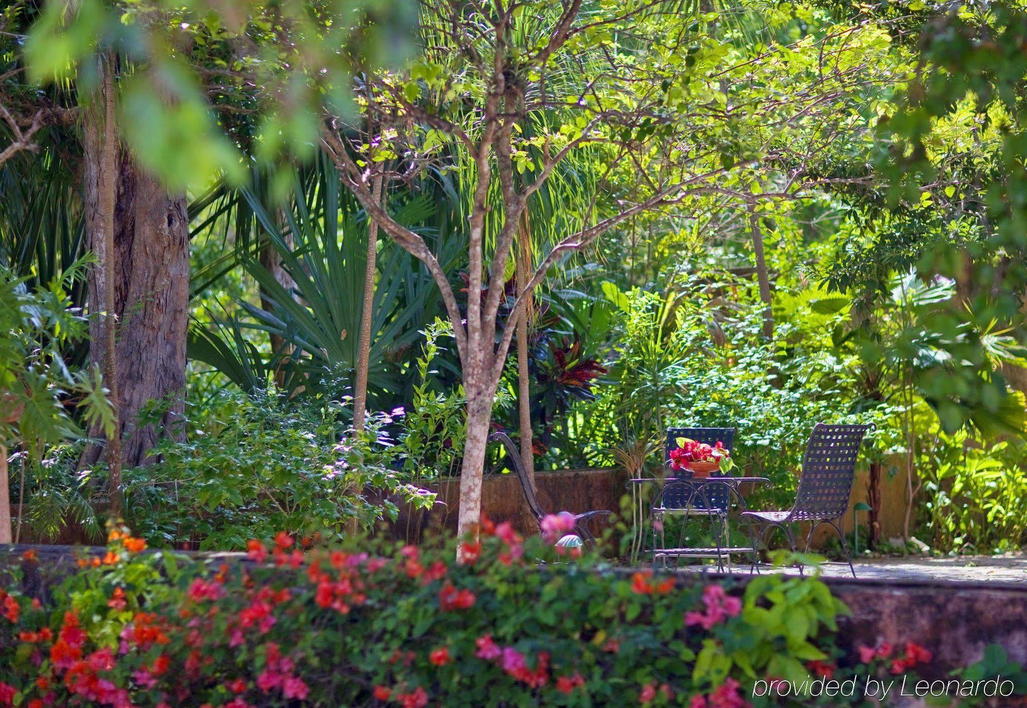 Hacienda Santa Rosa De Lima Hotel Luaran gambar